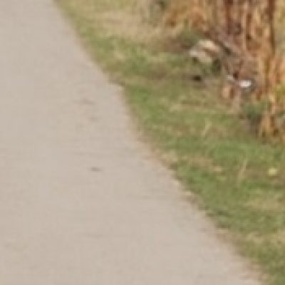 banner-contacto-dreamcan-monica-diaz-trias.jpg